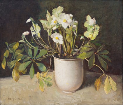 Frans Oerder; English Christmas Roses