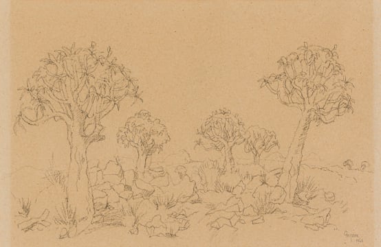 Gregoire Boonzaier; Landscape with Quiver Trees