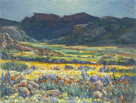 Hugo Naudé; Namaqualand, Springtime