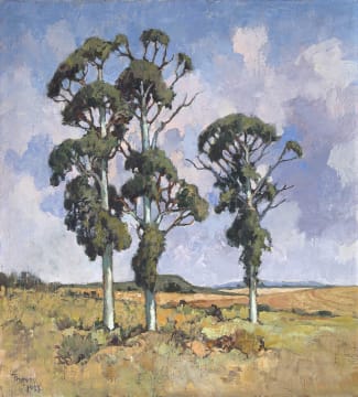 Conrad Theys; Drie Bloekombome Swartland (Three Eucalyptus Trees Swartland)