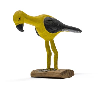 Dr Phuthuma Seoka; Bird