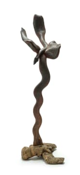 Azwifarwi Ragimana; Lightening Bird