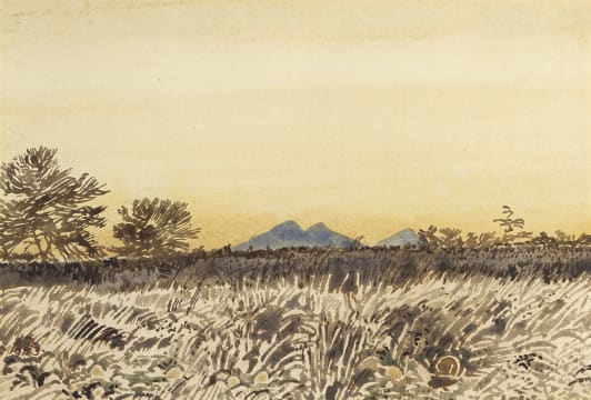 Adolph Jentsch; S W Afrika (sic)