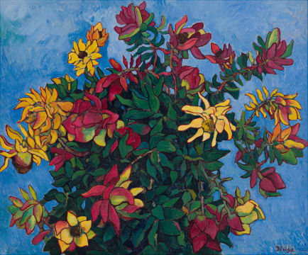François Krige; Study of Leucadendrons