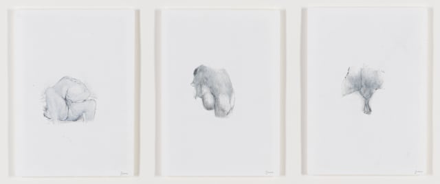 Jacques James; Erotic Scenes II, three