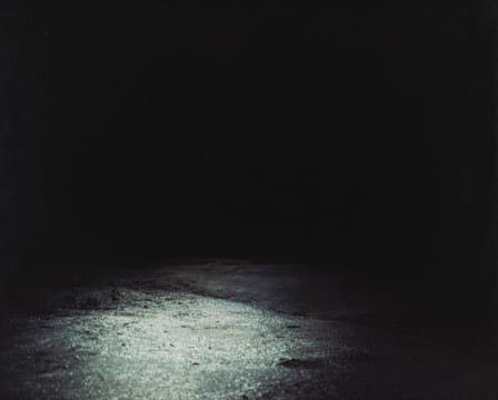 Juan Orrantia; Cocaine Fields