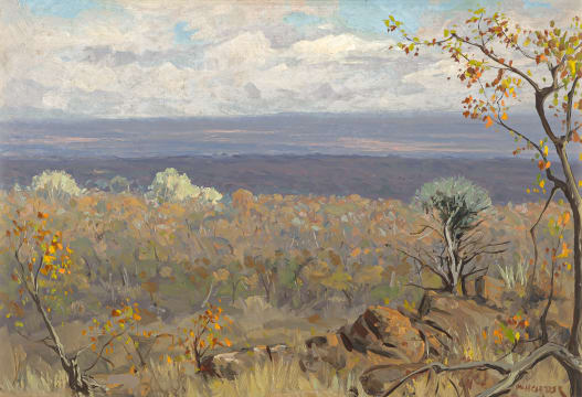 Willem Hermanus Coetzer; Autumn in the Bush
