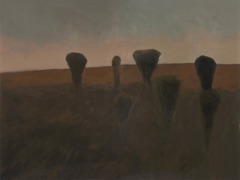 Andrew Verster; Burnt Land