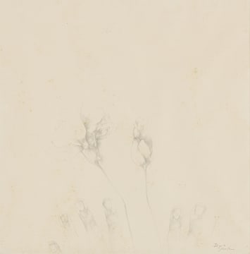 Judith Mason; Digits