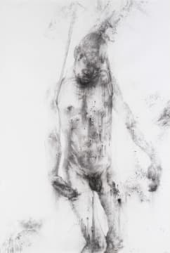 Diane Victor; Figure I