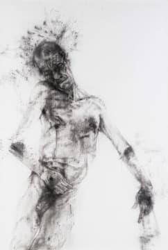 Diane Victor; Figure II