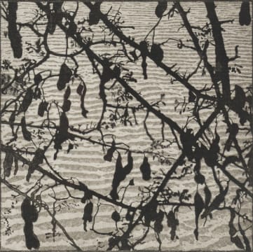 Wendy Vincent; Pods and Leaves
