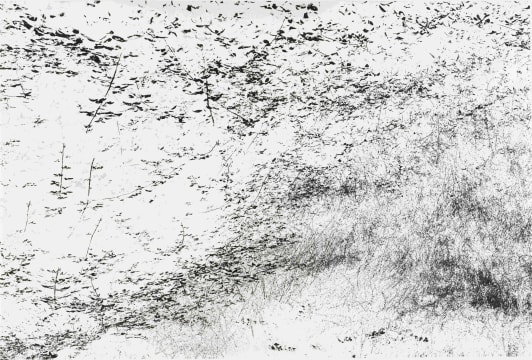Michael Meyersfeld; Garden: San Gimignano