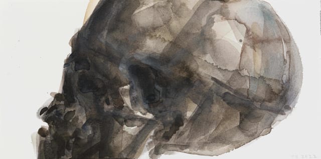 Joni Brenner; Skull Series (II)