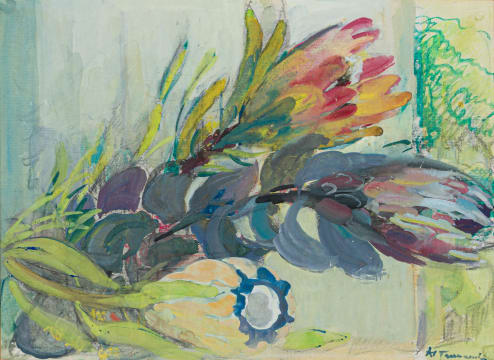 Alice Tennant; Proteas