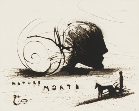 Deborah Bell; Nature Morte
