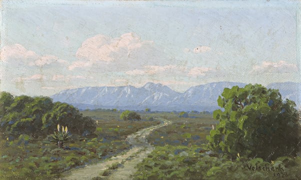 Jan Ernst Abraham Volschenk; A Veld Pad