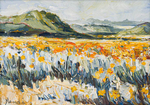 Hugo Naudé; Namaqualand in Spring