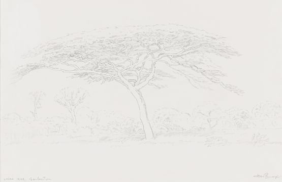 Jacob Hendrik Pierneef; Barberton