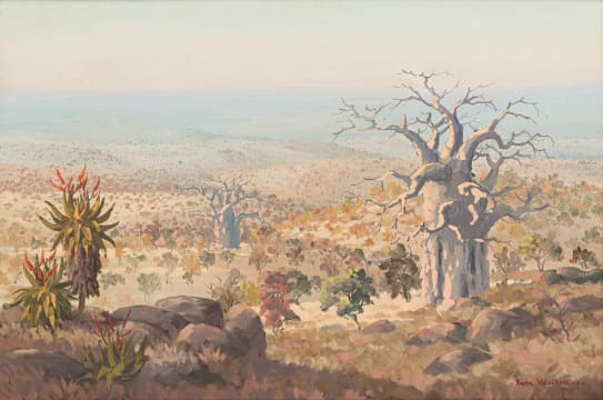 Pierre Volschenk; Aloes and Baobab Trees in a Landscape