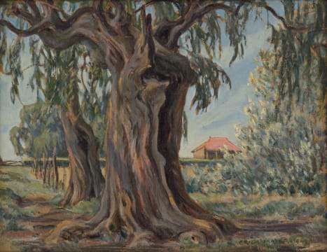 Erich Mayer; A Highveld Farm