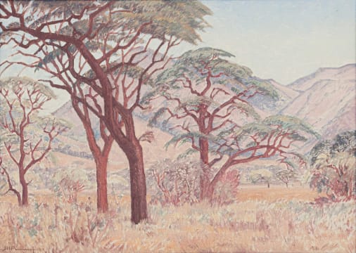 Jacob Hendrik Pierneef; Waterberg, Northern Transvaal