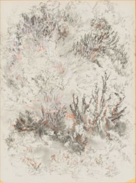 Cecil Higgs; Bushes