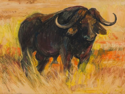 Zakkie Eloff; Buffalo