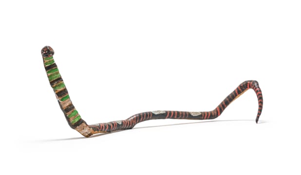Dr Phuthuma Seoka; Snake