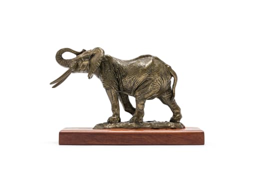 Arend Eloff; Elephant