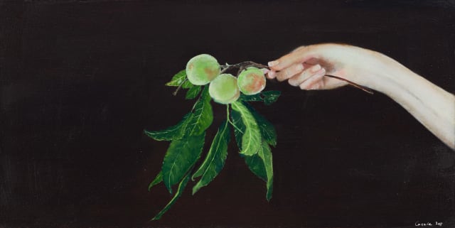 Arabella Caccia; A Gift from a Garden: Immortality