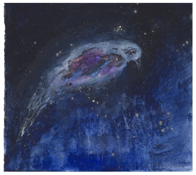 Gail Catlin; Dove