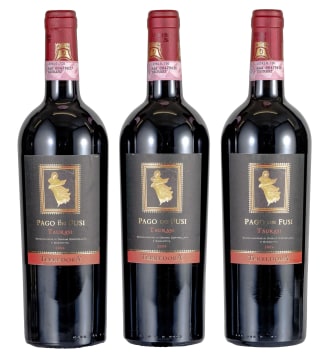 Terradora di Paolo; Taurasi Pago dei Fusi; 2004; 3 (1 x 3); 750ml