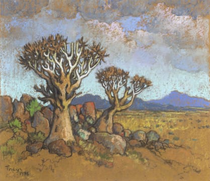 Conrad Theys; Kokerbome