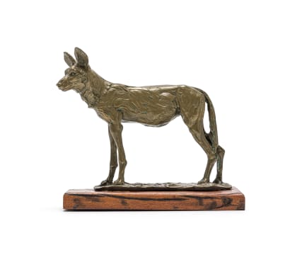 Arend Eloff; Wild Dog
