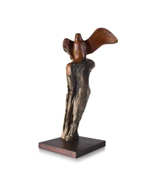 Jaco Sieberhagen; Bird of Prey