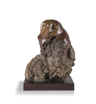 Jaco Sieberhagen; Marsh Owl