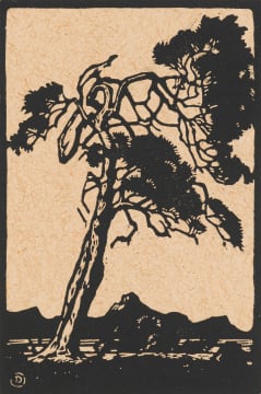 Jacob Hendrik Pierneef; Rooibosboom (Nilant 102)