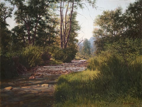 Paddy Starling; Forest Stream