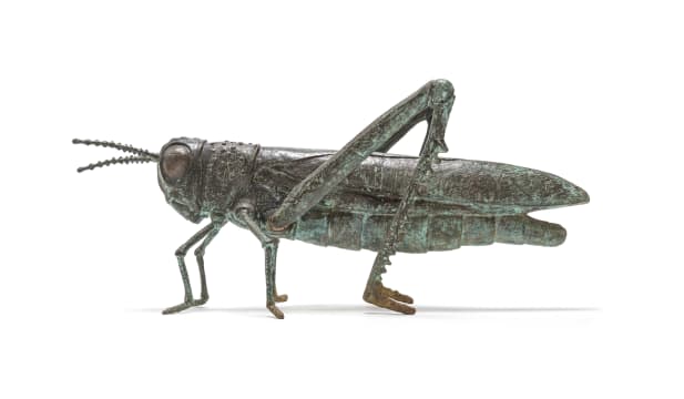 Robert (Bobby) Lawrence; Locust
