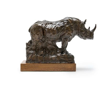 Jo Roos; Rhino