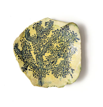 Ruan Hoffmann; Autumn Ginko