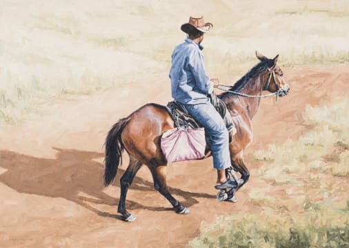 Sipho Ndlovu; Searching for a Missing Bull