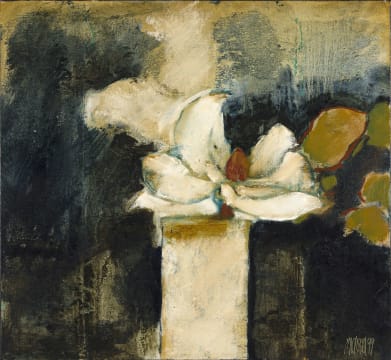 Michael Heyns; Magnolias