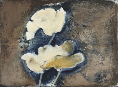 Michael Heyns; White Poppies
