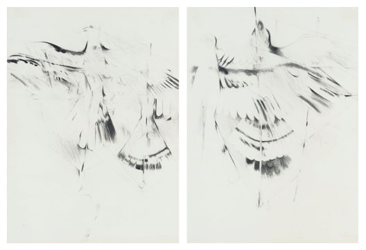 Andrew Verster; Abstracted Birds