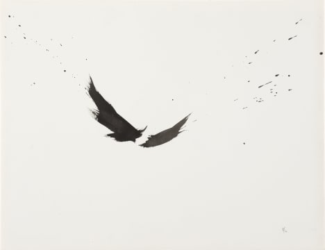 Wim Botha; A Thousand Things Part 97