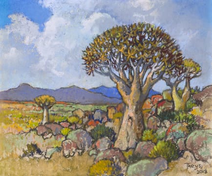 Conrad Theys; Giant Quiver Tree, Kokerboomreus