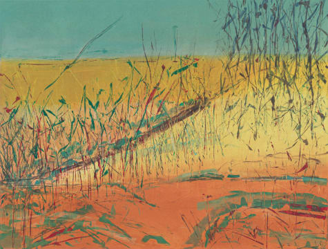 Kim Berman; Green Dancing in a Desert