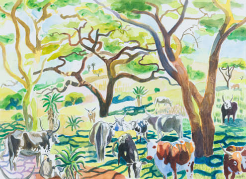 Nichola Alice Leigh; Nguni Cattle at Cumberland